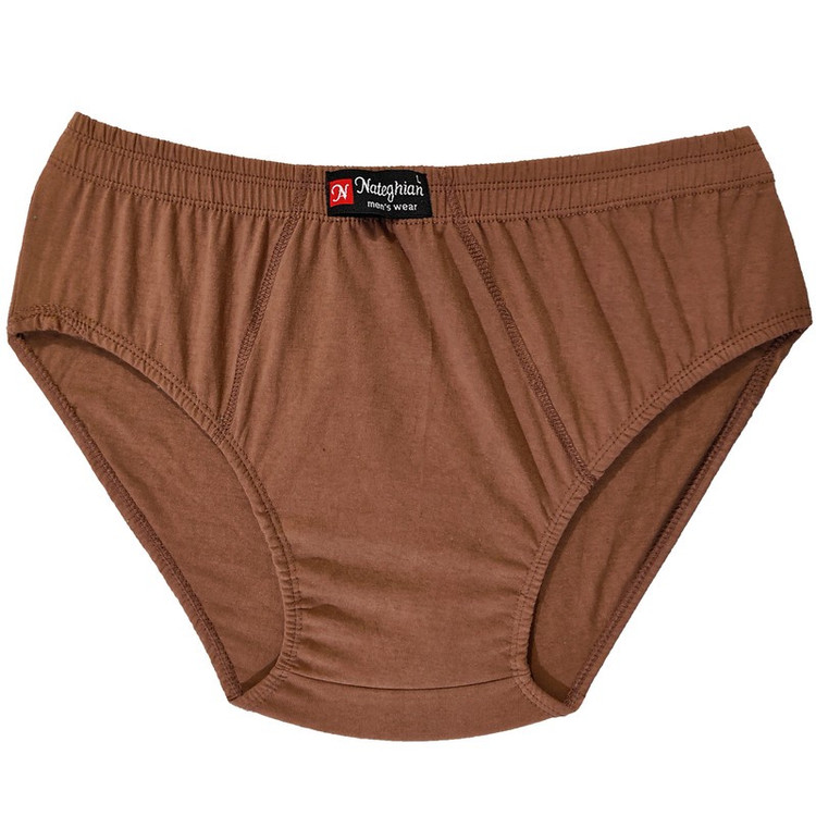 شورت مردانه پوشاک ناطقیان مدل نخ پنبه کد 01 مجموعه 5 عددی