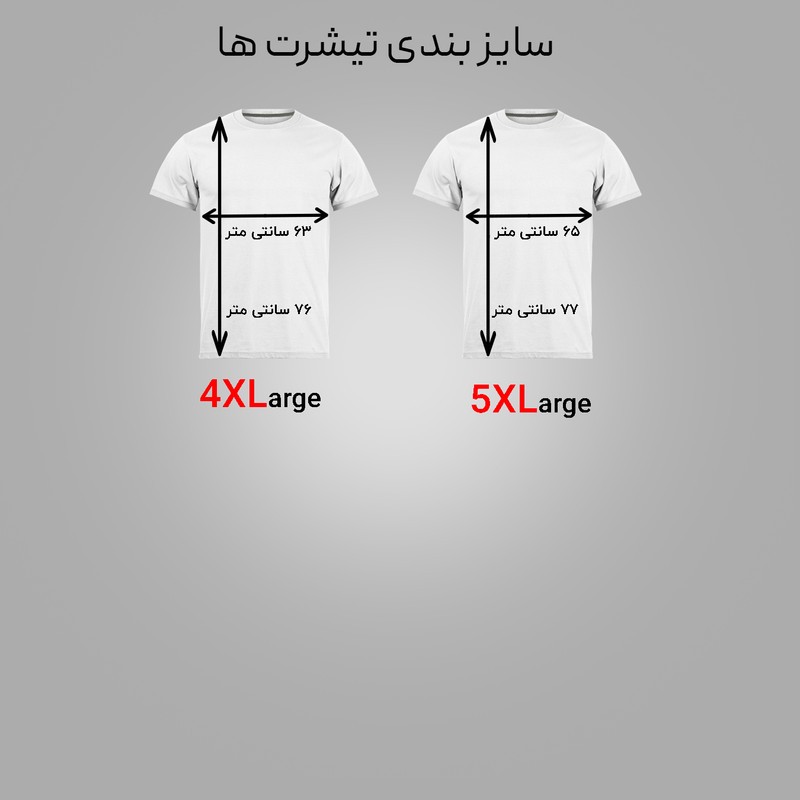 تی شرت آستین کوتاه مردانه مدل N1 1027 بسته 2 عددی