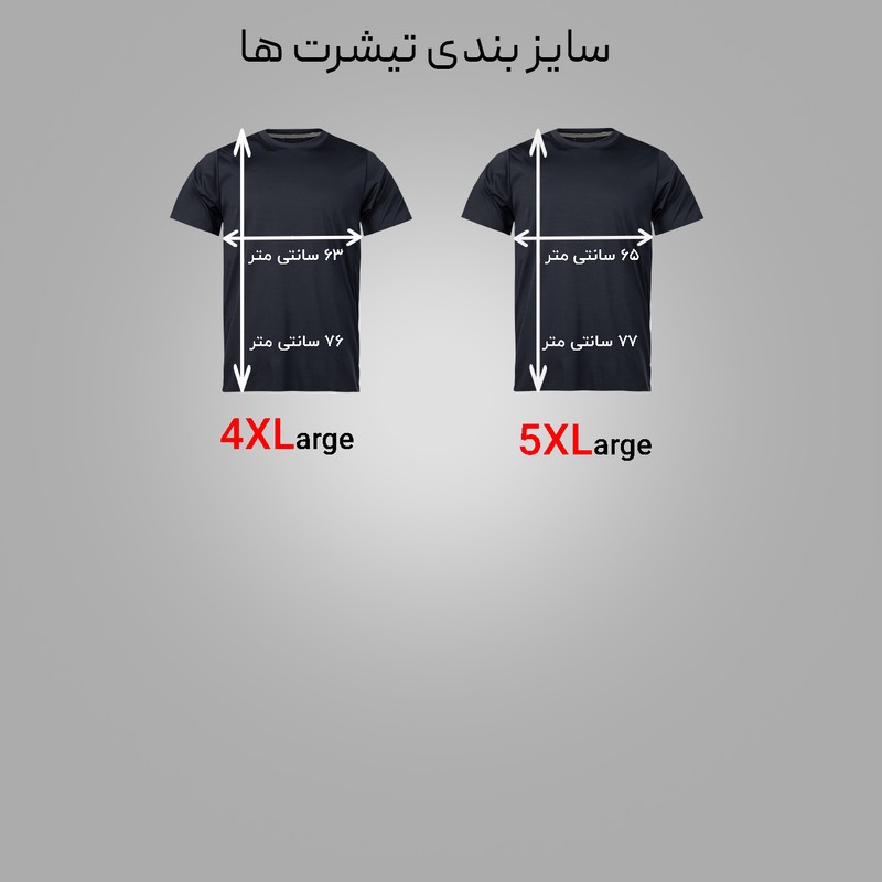 تی شرت آستین کوتاه مردانه مدل 1030_N1 بسته 2 عددی