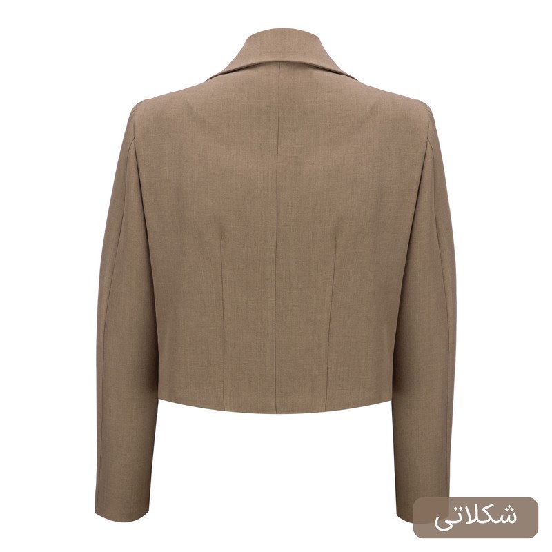 ست 3 تکه لباس رسمی زنانه السانا مدل گندمک کد 2457