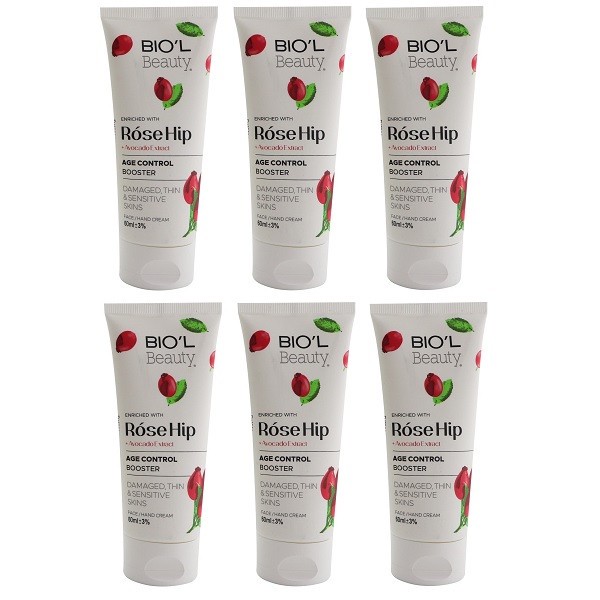 کرم مرطوب کننده بیول مدل Rose Hip حجم 60 میلی لیتر مجموعه 6 عددی