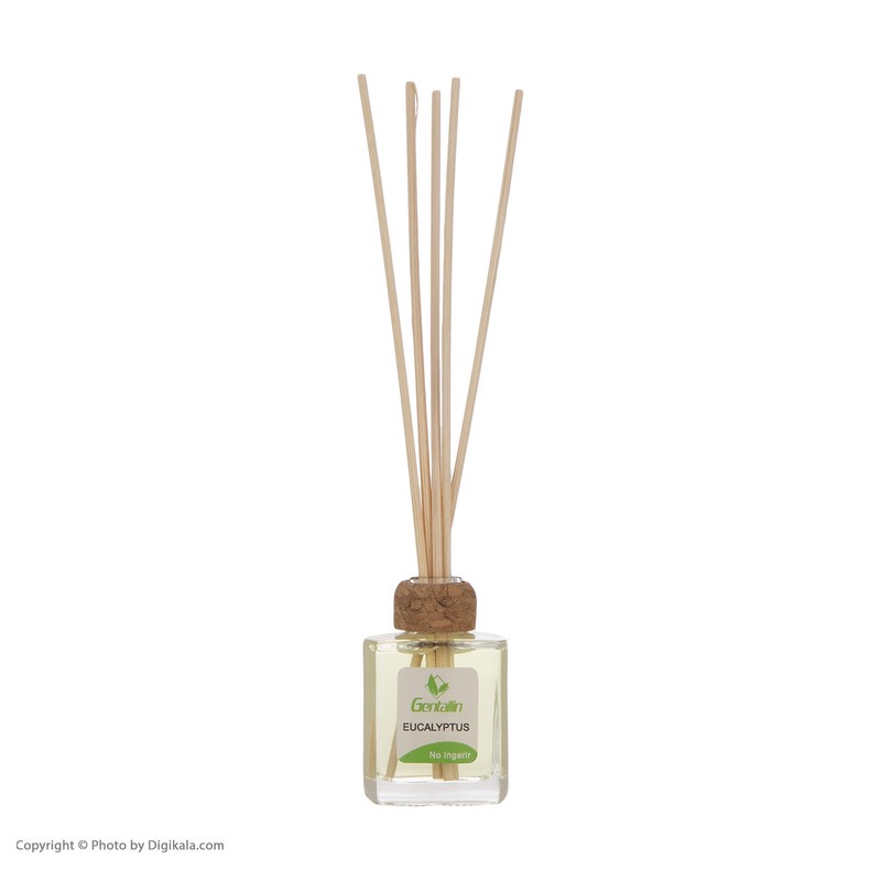 خوشبوکننده هوا جنتالین مدل Eucalyptus حجم 15 میلی لیتر