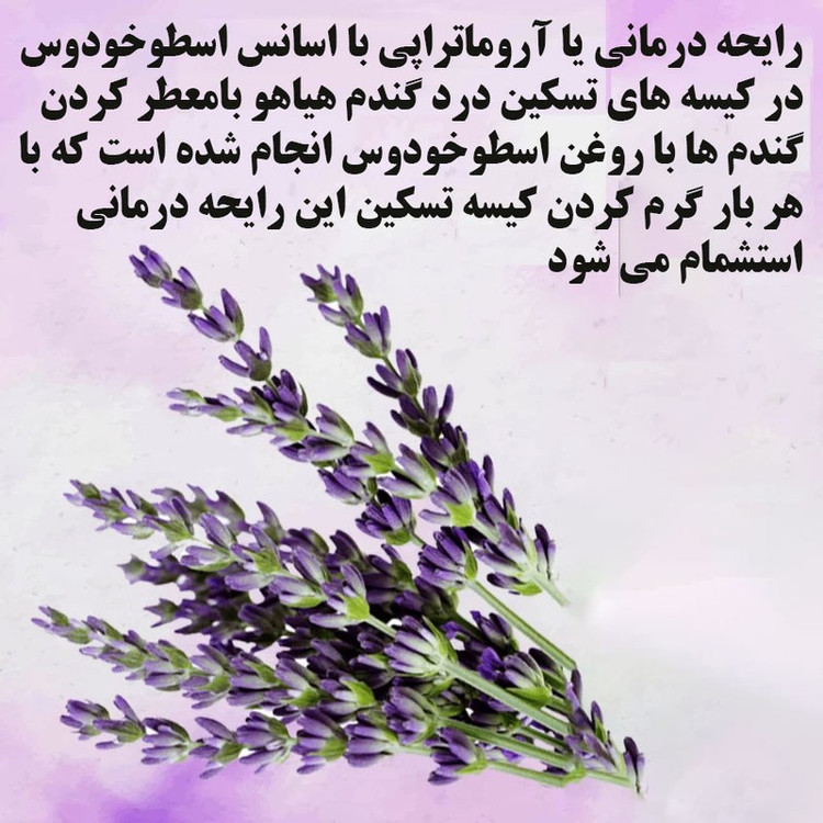کیسه تسکین درد هیاهو مدل آروماتراپی اسانس اسطوخودوس کد Wheat-20x20-C