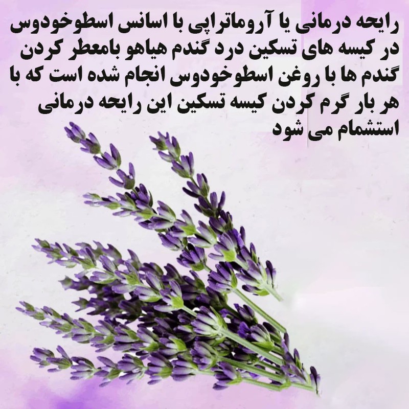 کیسه تسکین درد هیاهو مدل آروماتراپی اسانس اسطوخودوس کد Wheat-25x25-6