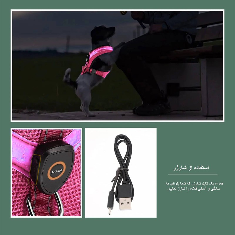 قلاده طرح چراغدار مدل FH01 PK