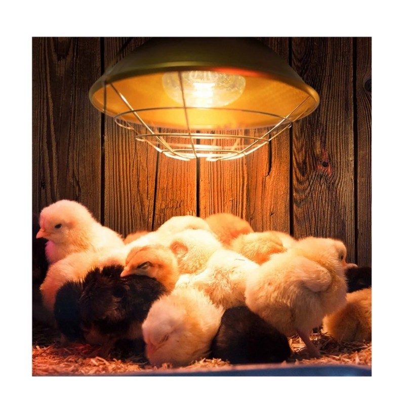 لامپ مادر مصنوعی 40 وات فیلیپس مدل F10 پایه e14 بسته 10 عددی