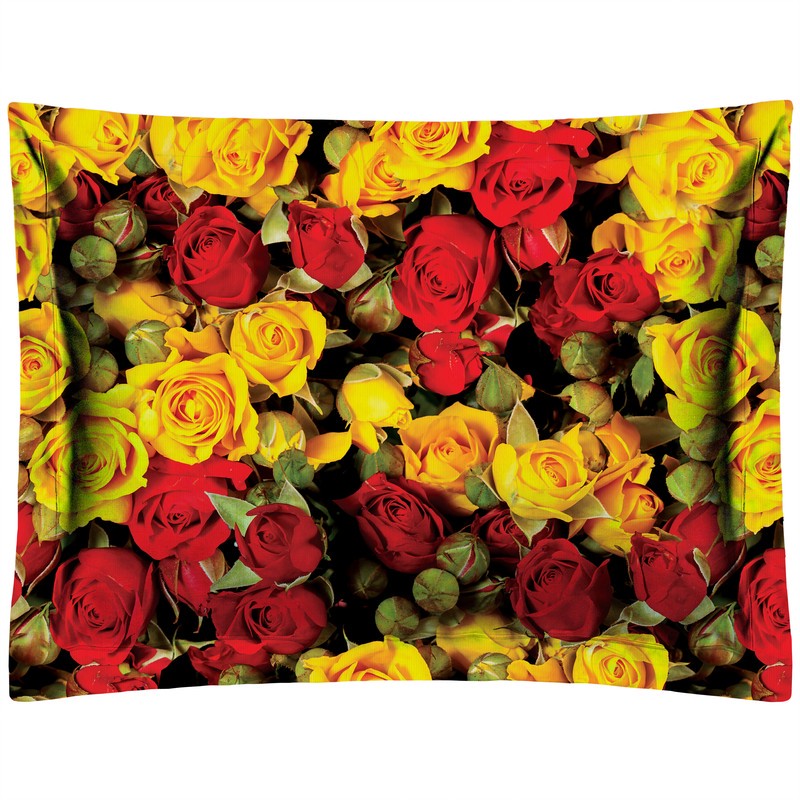 رو بالشی رنس مدل PP1-20800