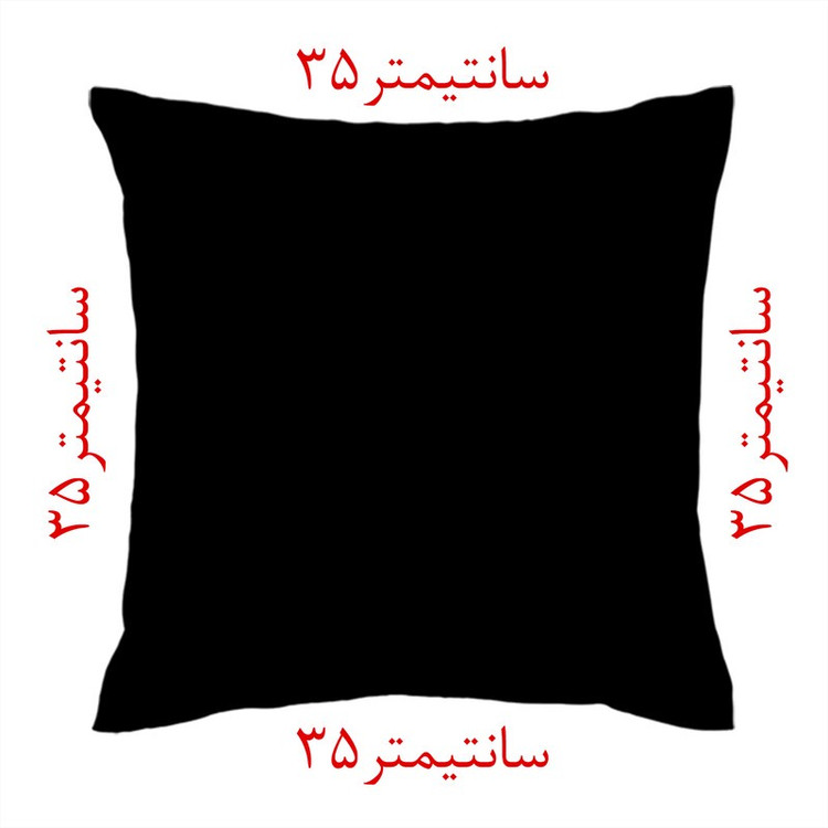 کاور کوسن مدل ساتن co35-213